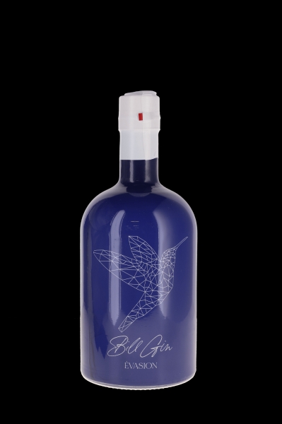 Image sur Bill Gin Evasion 42° 0.5L